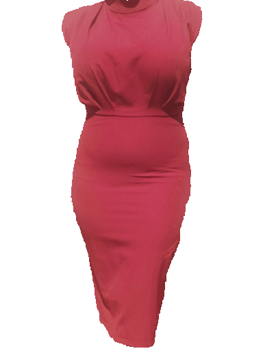 Extracted garment, maroon dress